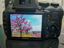 Fujifilm Digital Slr Finepix Hs30Exr