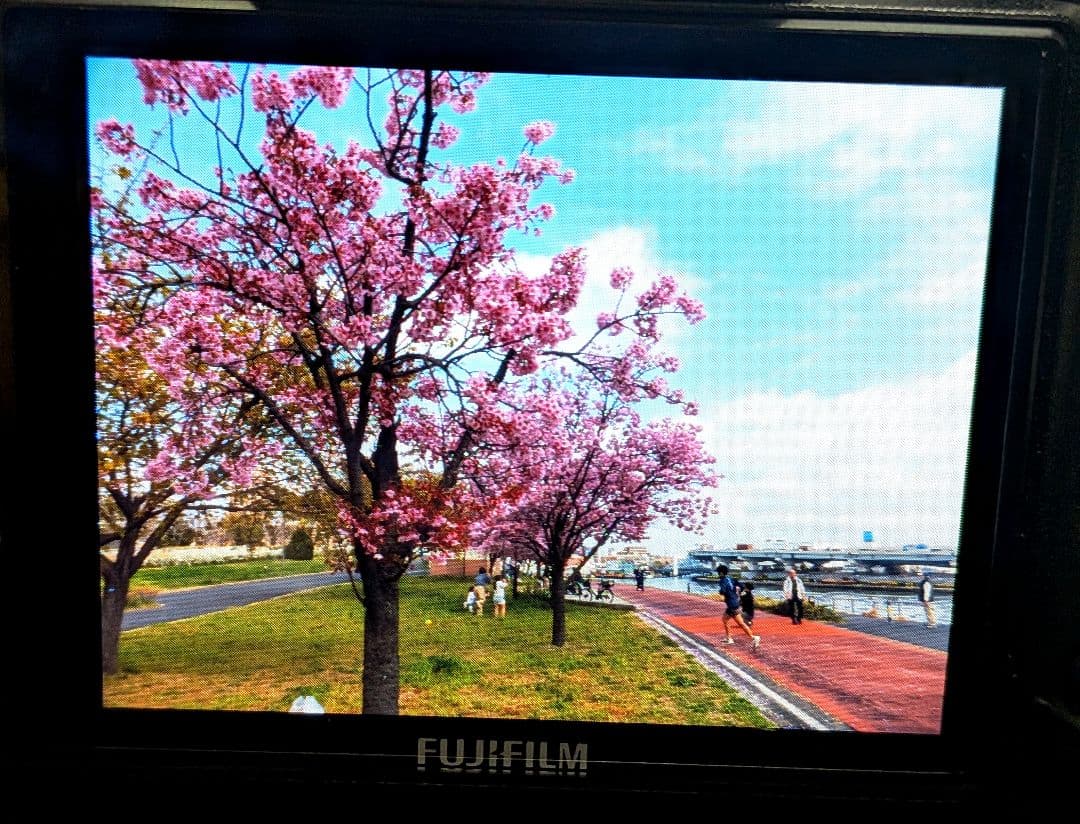 Fujifilm Digital Slr Finepix Hs30Exr
