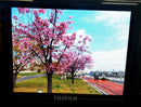 Fujifilm Digital Slr Finepix Hs30Exr