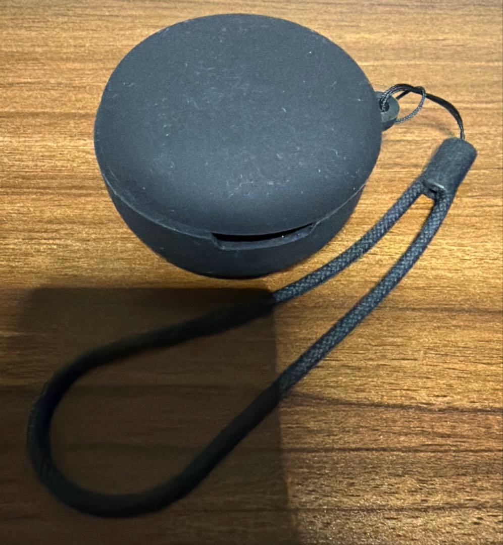 Victor Wireless Earphones Wood Master