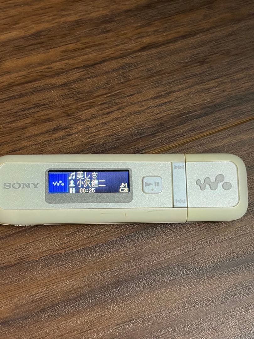 Sony Digital Audio Players