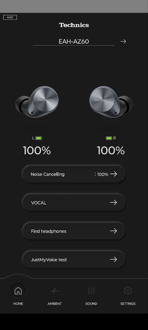 Technics Wireless Earphones Eah-Az60