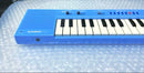 Casio Analog Synthesizer Pt-1