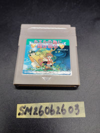 Nintendo Soft Gb Rpg