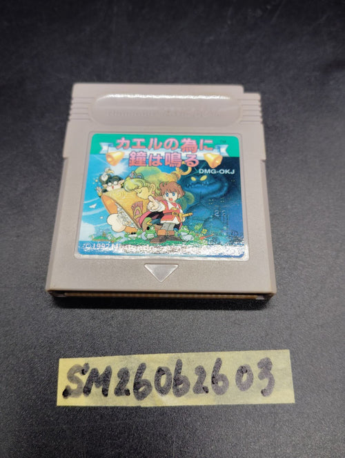 Nintendo Soft Gb Rpg