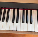 Roland Keyboard Electronic Piano 21 Hp702