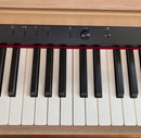 Roland Keyboard Electronic Piano 21 Hp702