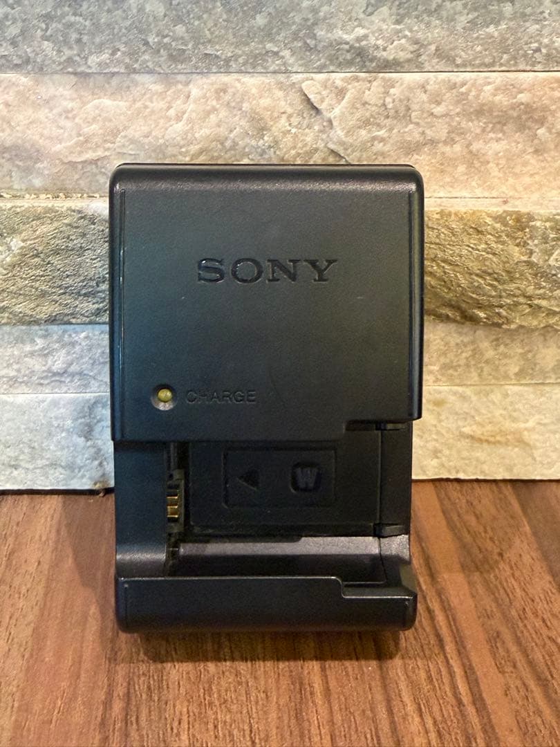 Sony Digital Slr 55 1
