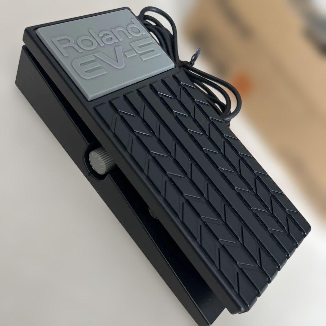 Roland Footsteps Ev-5