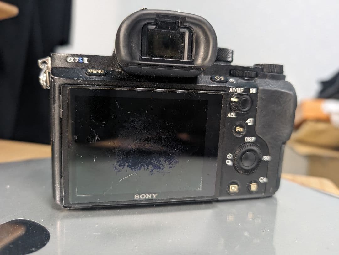 Sony Mirrorless Interchangeable Lens Cameras A7S