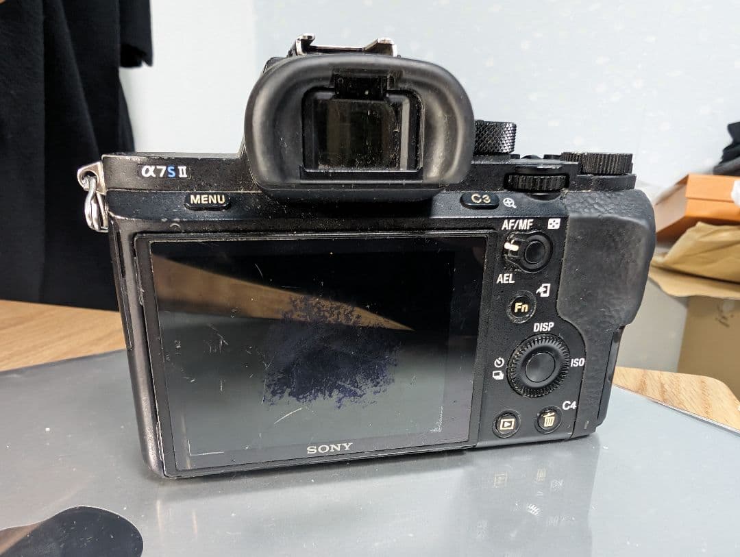 Sony Mirrorless Interchangeable Lens Cameras A7S