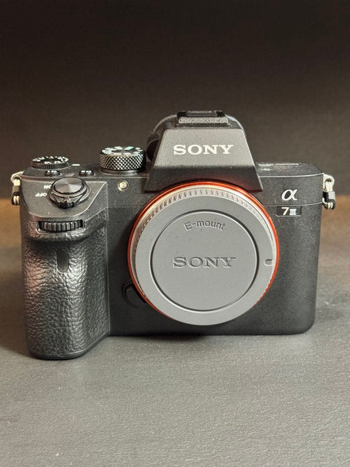 Sony Mirrorless Interchangeable Lips 7 Iii