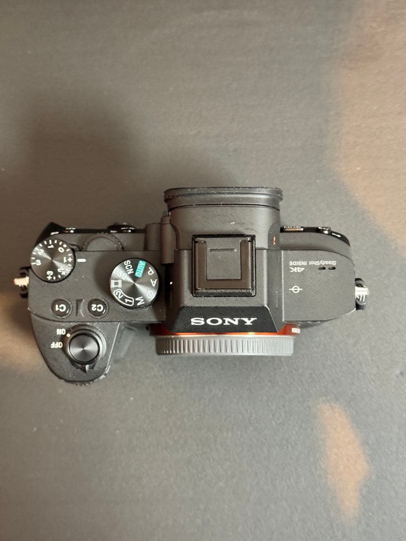Sony Mirrorless Interchangeable Lips 7 Iii