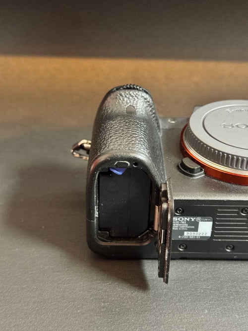 Sony Mirrorless Interchangeable Lips 7 Iii