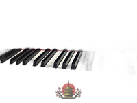 Korg Keyboard Electronic Piano Lp-180 88