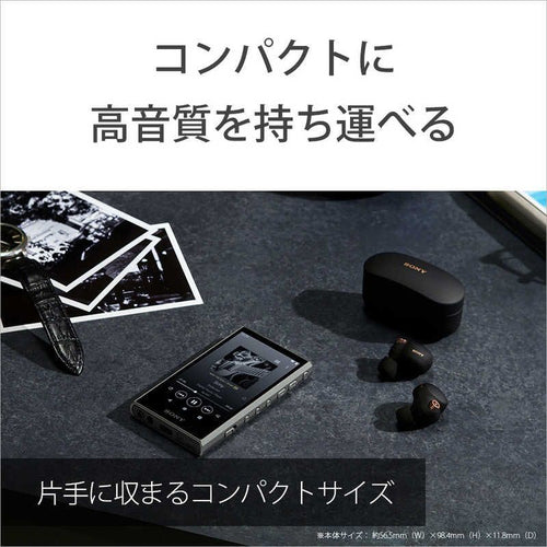 Sony Others Walkman A [32Gb/2023 Nw-A306 Bc