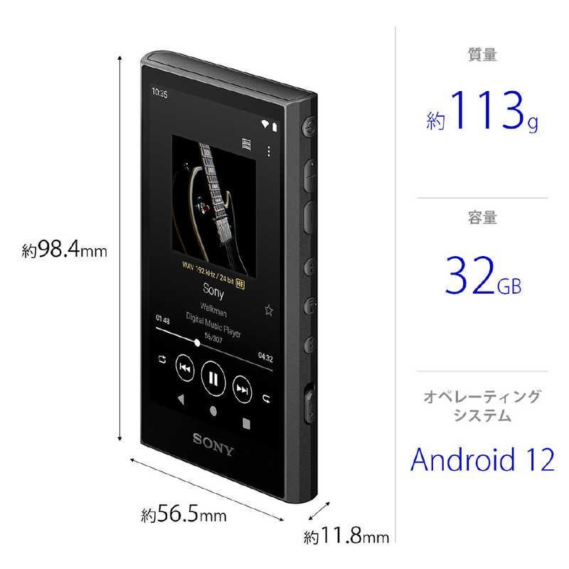 Sony Others Walkman A [32Gb/2023 Nw-A306 Bc