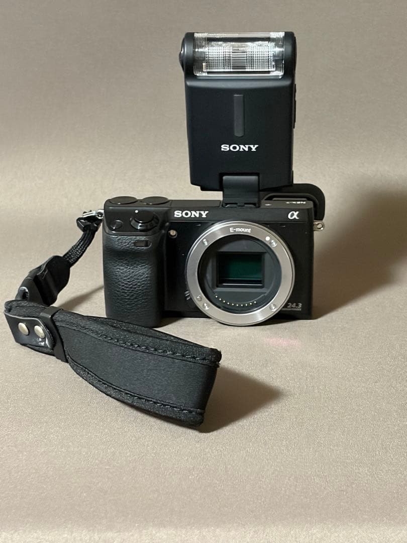 Sony Mirrorless Interchangeable Lips Nex7 Hvl-F20Am