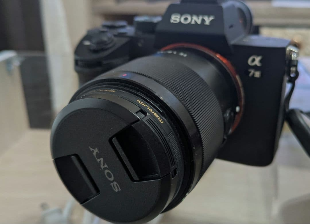 Mirrorless Interchangeable Lips 7 Sel35F18F