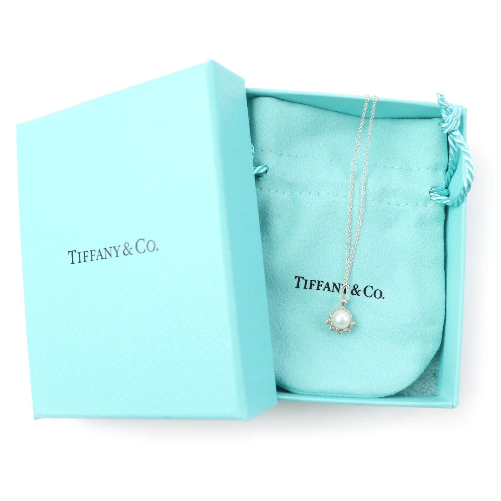 Tiffany Necklace Tiffany&Co. Ag925 25 11 1.8G (Color)