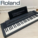 Roland Keyboard Electronic Piano Sk-50 Sound Canvas
