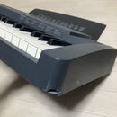 Roland Keyboard Electronic Piano Sk-50 Sound Canvas