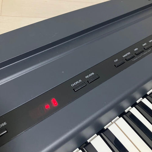 Roland Keyboard Electronic Piano Sk-50 Sound Canvas