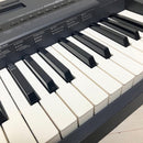 Roland Keyboard Electronic Piano Sk-50 Sound Canvas