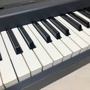 Roland Keyboard Electronic Piano Sk-50 Sound Canvas