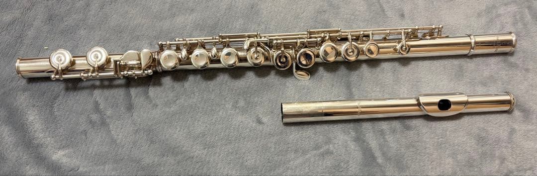 Flutes Pearl Pf-665E