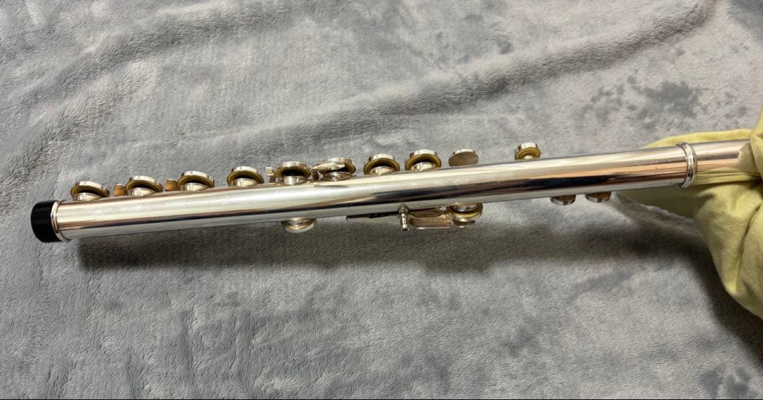 Flutes Pearl Pf-665E