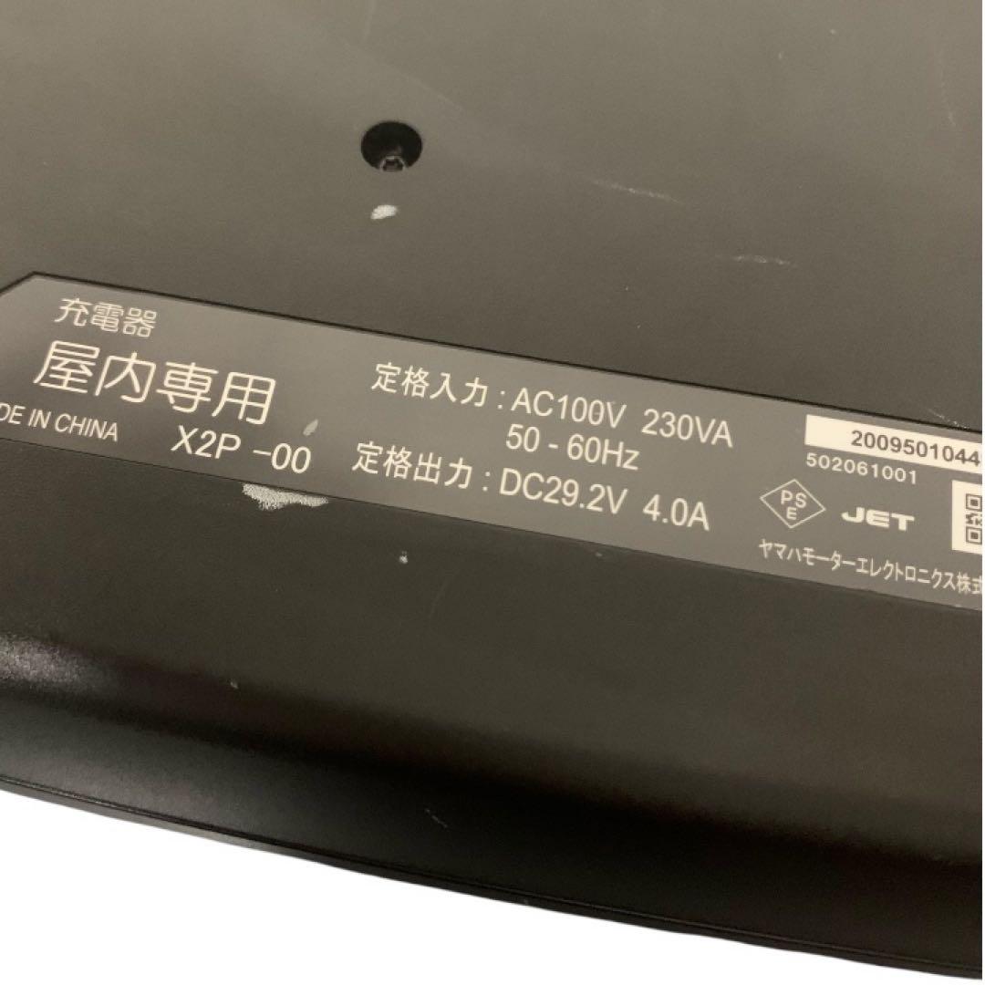 Yamaha Other X2P-00 Li-Ion