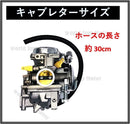 Others World Imp Motor 250 Xv250 3Dm Ymaha 125 Xv125 1990 -2014