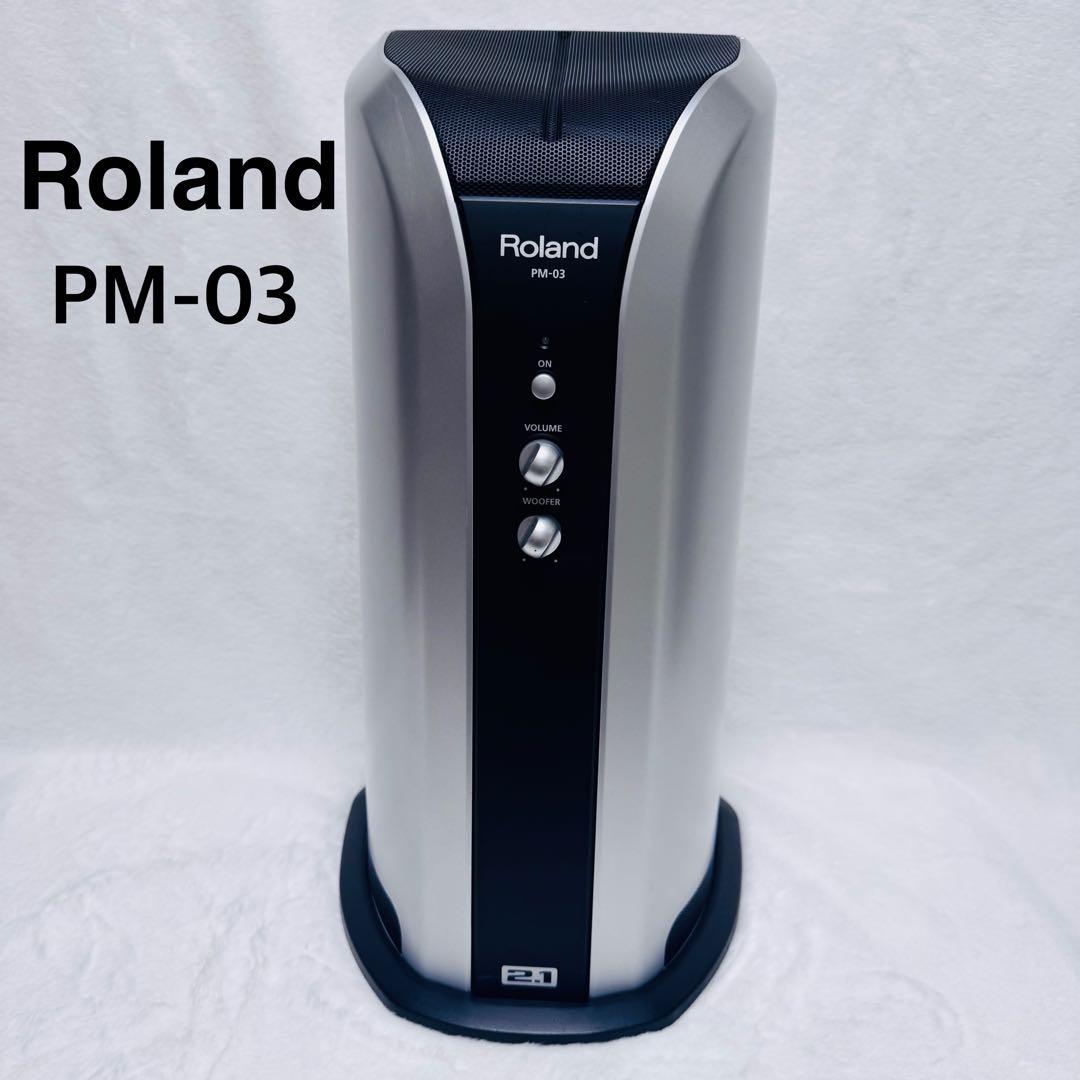 Roland Electronic Drums Pm-03 2.1Ch