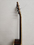 Yamaha Acoustic Guitars Fg-301