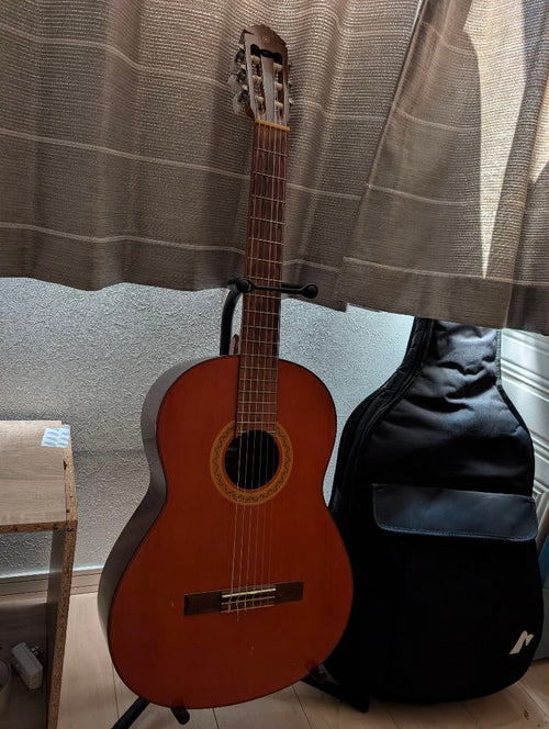 Yamaha Acoustic Guitars G-100