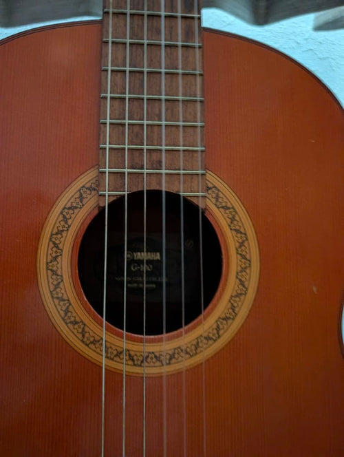 Yamaha Acoustic Guitars G-100