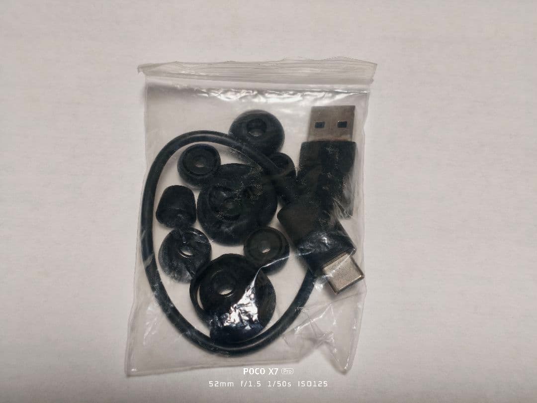 Denon Wireless Earphones Perl