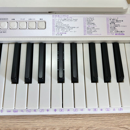 Yamaha Others Casio Lk-315