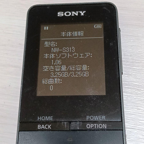 Sony Digital Audio Players Nw-S313 4Gb F9