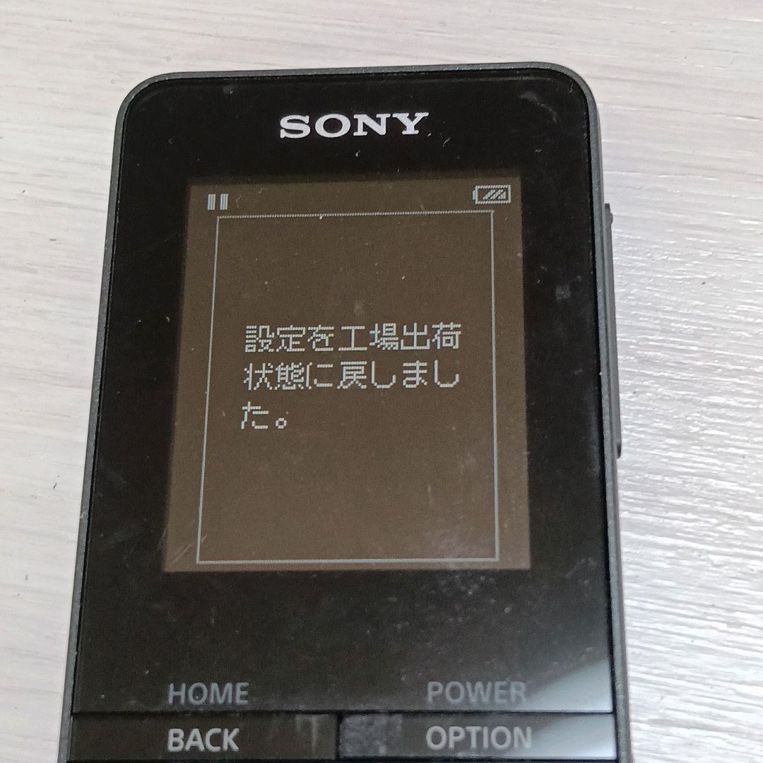 Sony Digital Audio Players Nw-S313 4Gb F9
