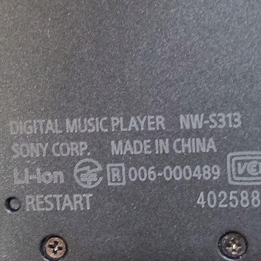 Sony Digital Audio Players Nw-S313 4Gb F9