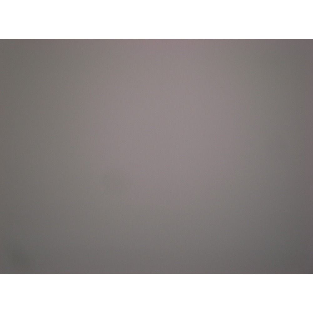 Ricoh Compact Digital Camera 1,630 Gr Ii