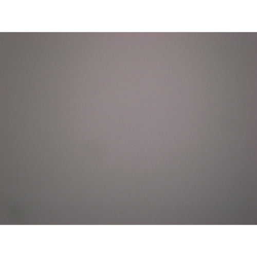 Ricoh Compact Digital Camera 1,630 Gr Ii