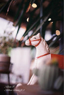 Nikon Slr Cameras (Film) F Ftn F1.4