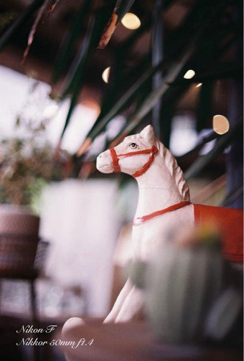 Nikon Slr Cameras (Film) F Ftn F1.4