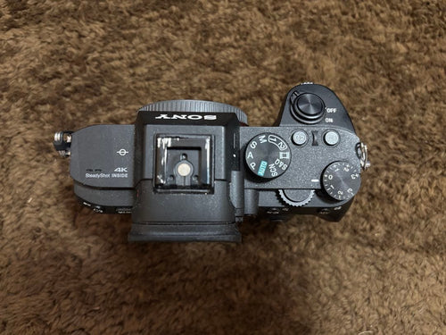 Sony Mirrorless Interchangeable Lips 7 Iii Ilce-7M3