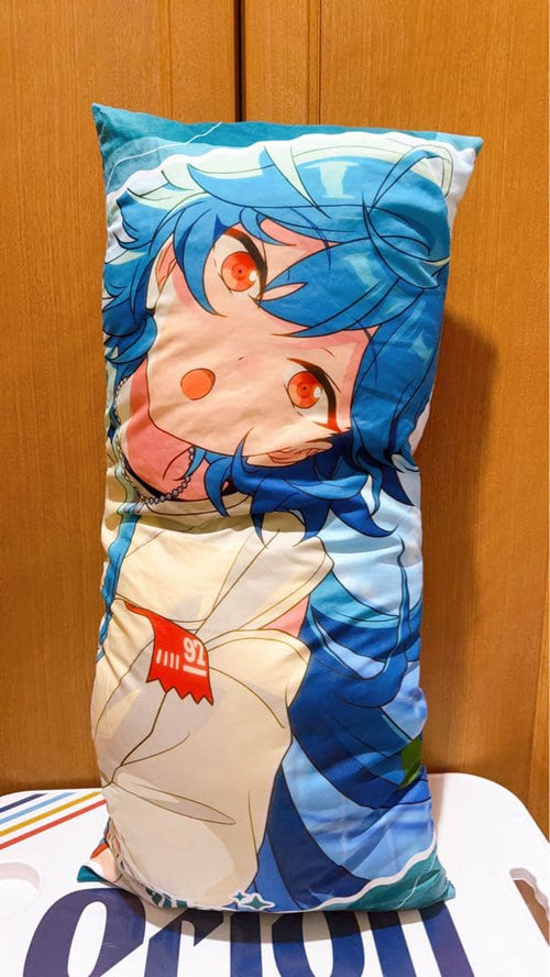 Cushions, Body Pillows Blankets Gigo