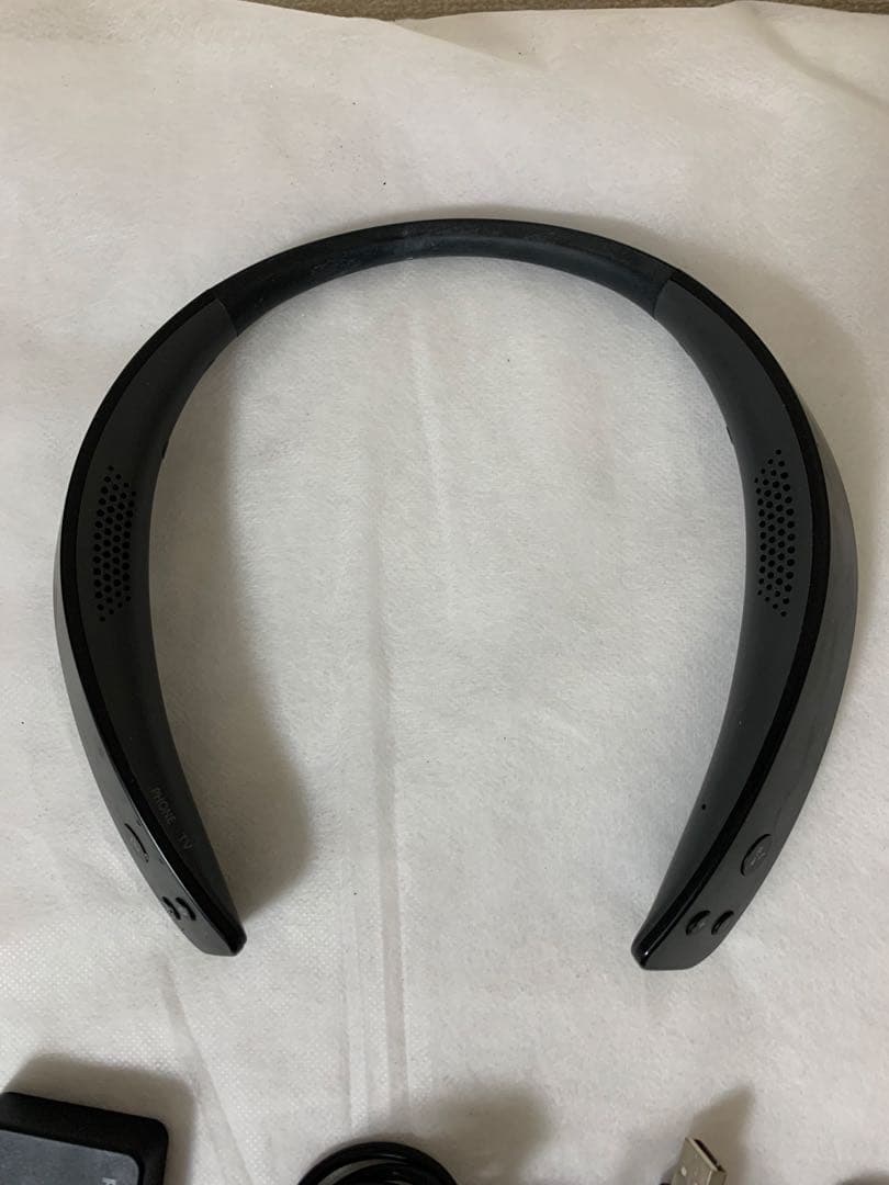 Panasonic Neck Speaker Sc-Wn10
