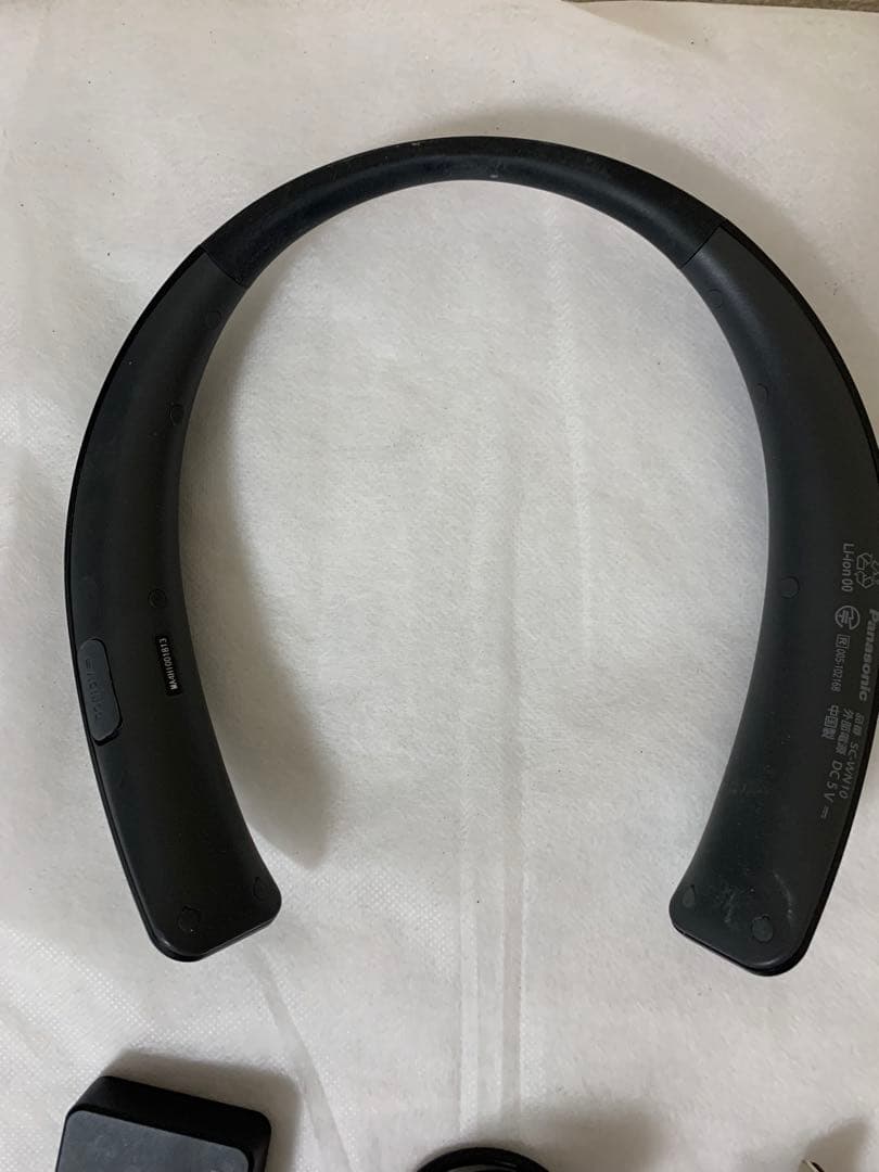 Panasonic Neck Speaker Sc-Wn10